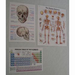 3 Laboratory Posters